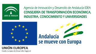 Infografía ASMCE IDEA